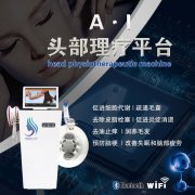 北京天津上海頭療儀價格，改善血液循環(huán)